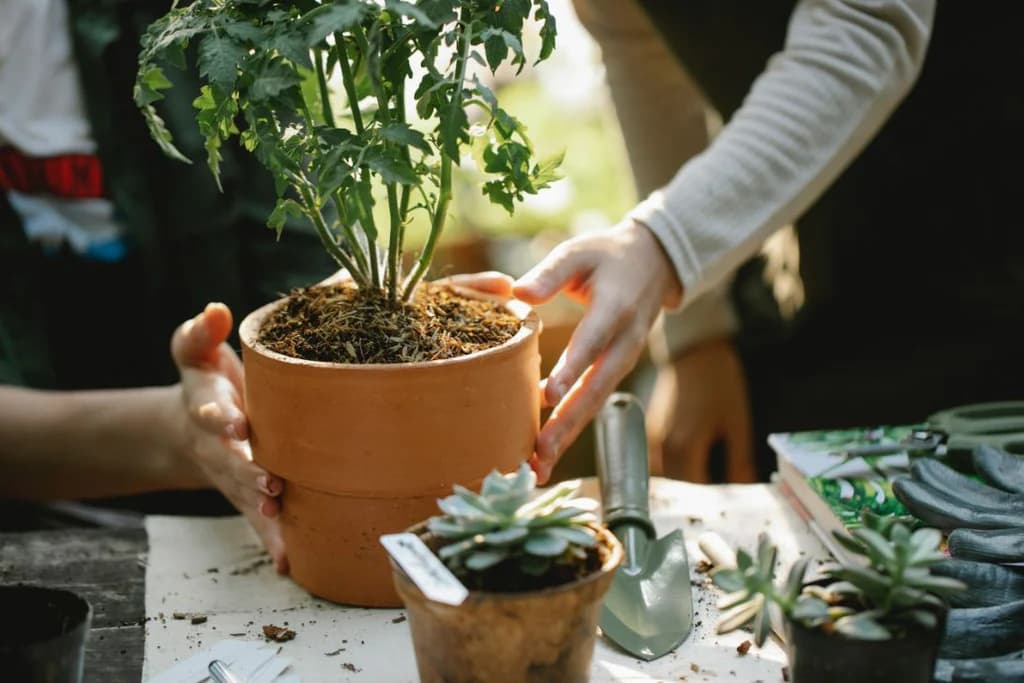 Flüssigdünger von Metrop: Ideal für nachhaltigen Gartenbau