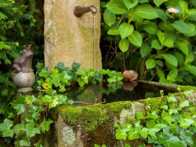 Gartengestaltung Ibbenbüren: Verwirklichen Sie Ihre Gartenträume mit uns