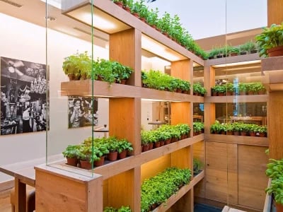 Nachhaltiger Indoor-Garten: Natürliche Schönheit im eigenen Heim