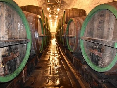 Warum die Bier Tour Pilsner mehr ist als nur eine Stadtrundfahrt