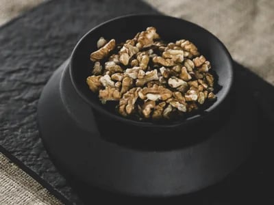How Serious Are the Ollie Dog Food Complaints? An Honest Look