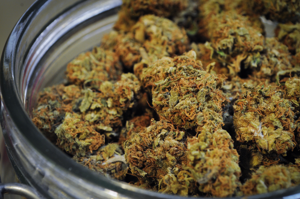 Wie man die besten THCA Blüten auswählt: Ein Einkaufsführer