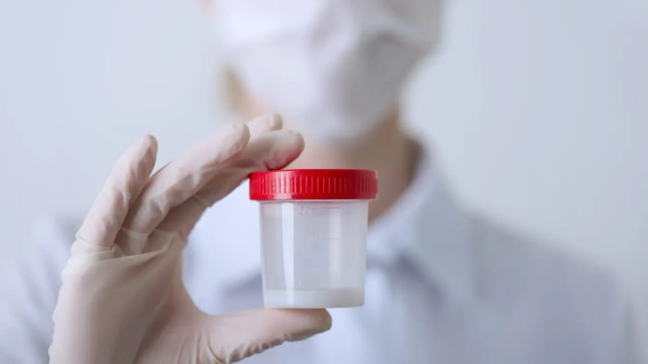 Die dänische samenbank als Vorreiter moderner Fertilitätslösungen