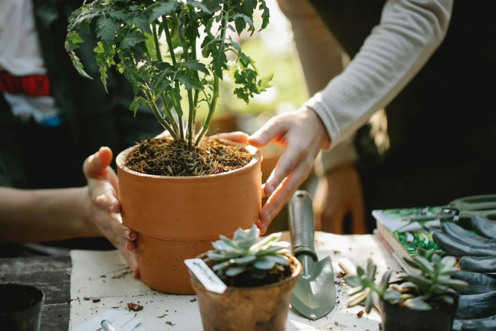Flüssigdünger von Metrop: Ideal für nachhaltigen Gartenbau
