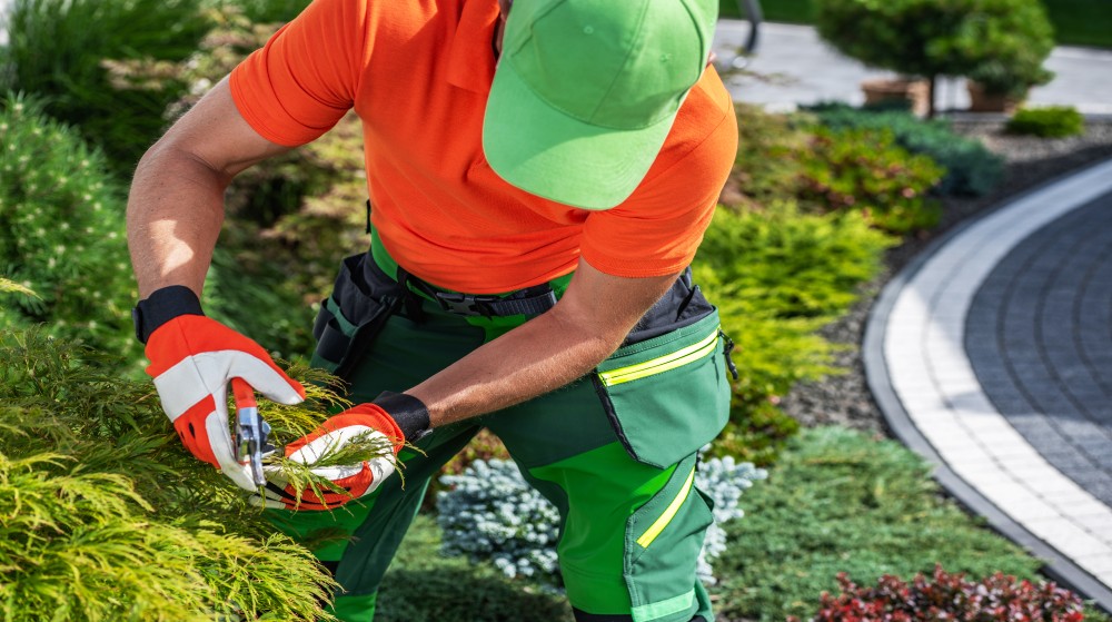 Mit Liebe zum Detail – innovative Lösungen im Gartenbau Braunschweig