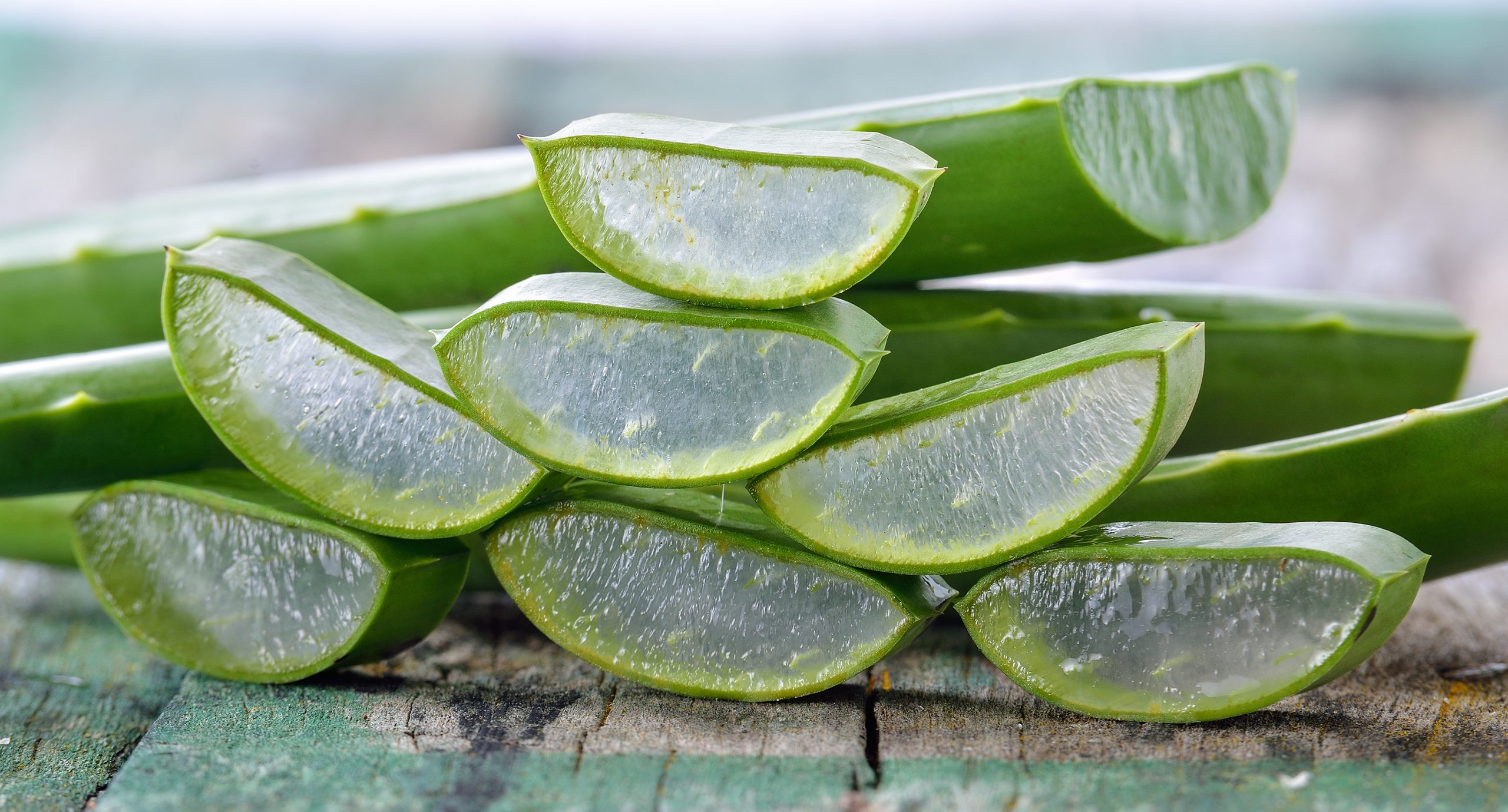 Pflegen Sie Ihren Körper und Ihre Seele mit Forever Living Aloe Vera