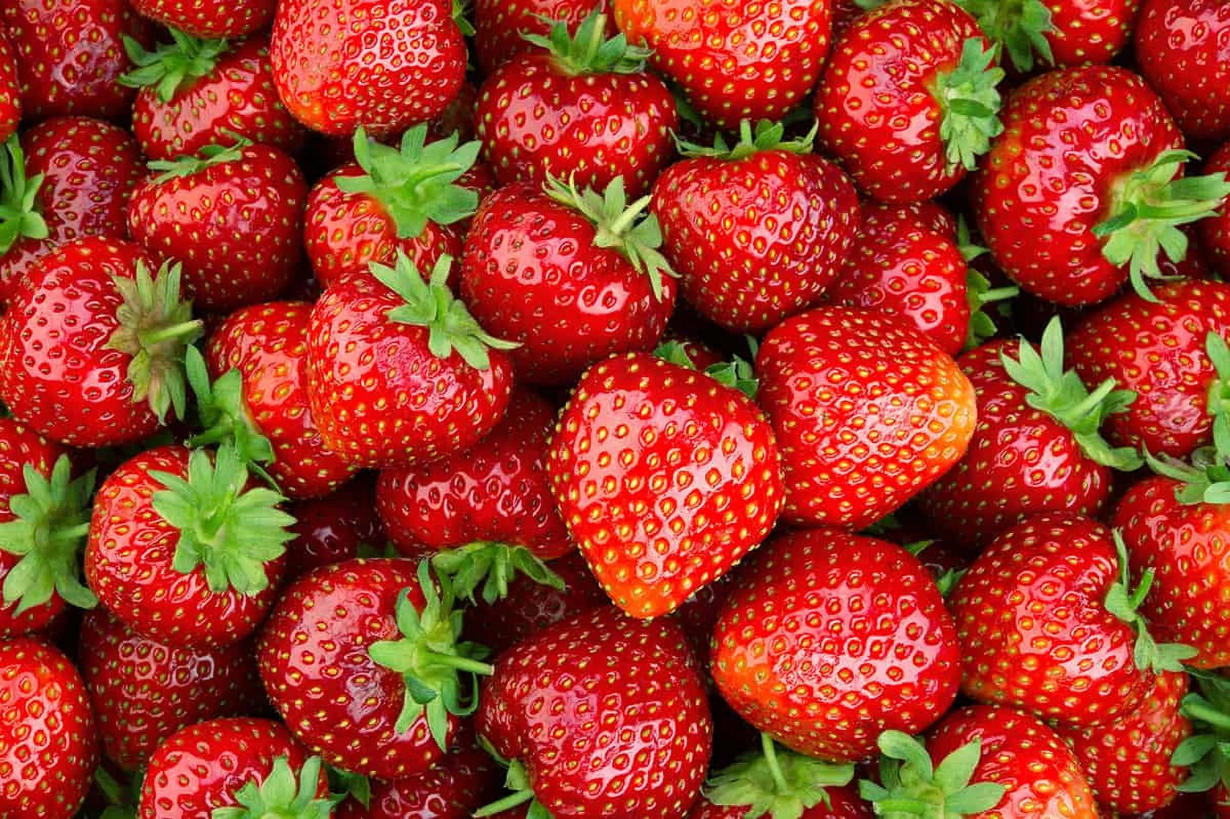 Leben Sie natürlich mit NutriPurs köstlichen Angeboten