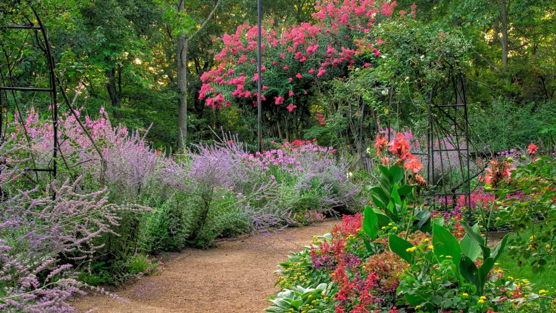 Mit Liebe zum Detail – innovative Lösungen im Gartenbau Braunschweig