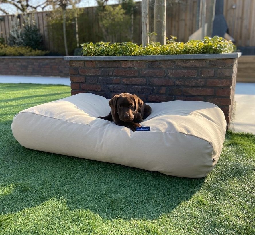 Die besten Platzierungen für ein Orthopädisches Hundebett in Ihrem Zuhause