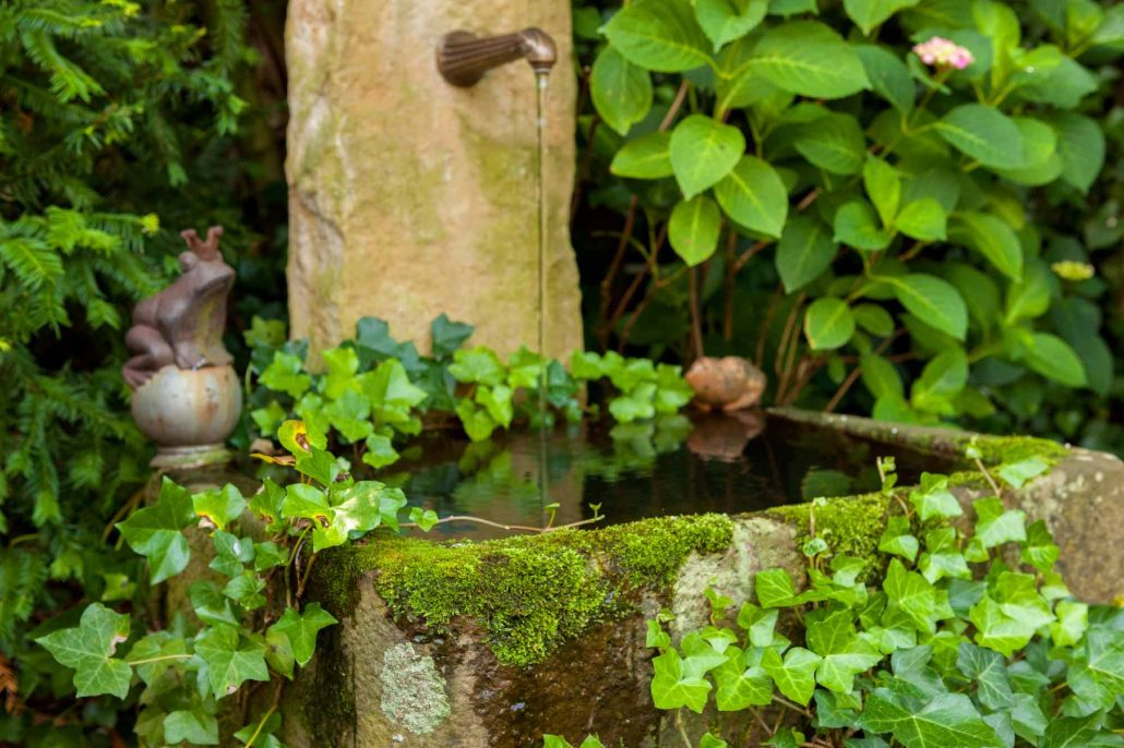 Gartengestaltung Ibbenbüren: Verwirklichen Sie Ihre Gartenträume mit uns