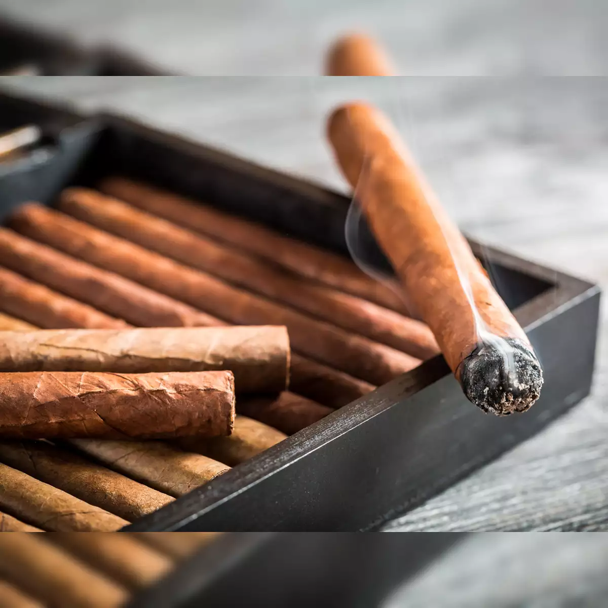 Erlesene Zigarrenmarken jetzt online entdecken bei C-Cigars